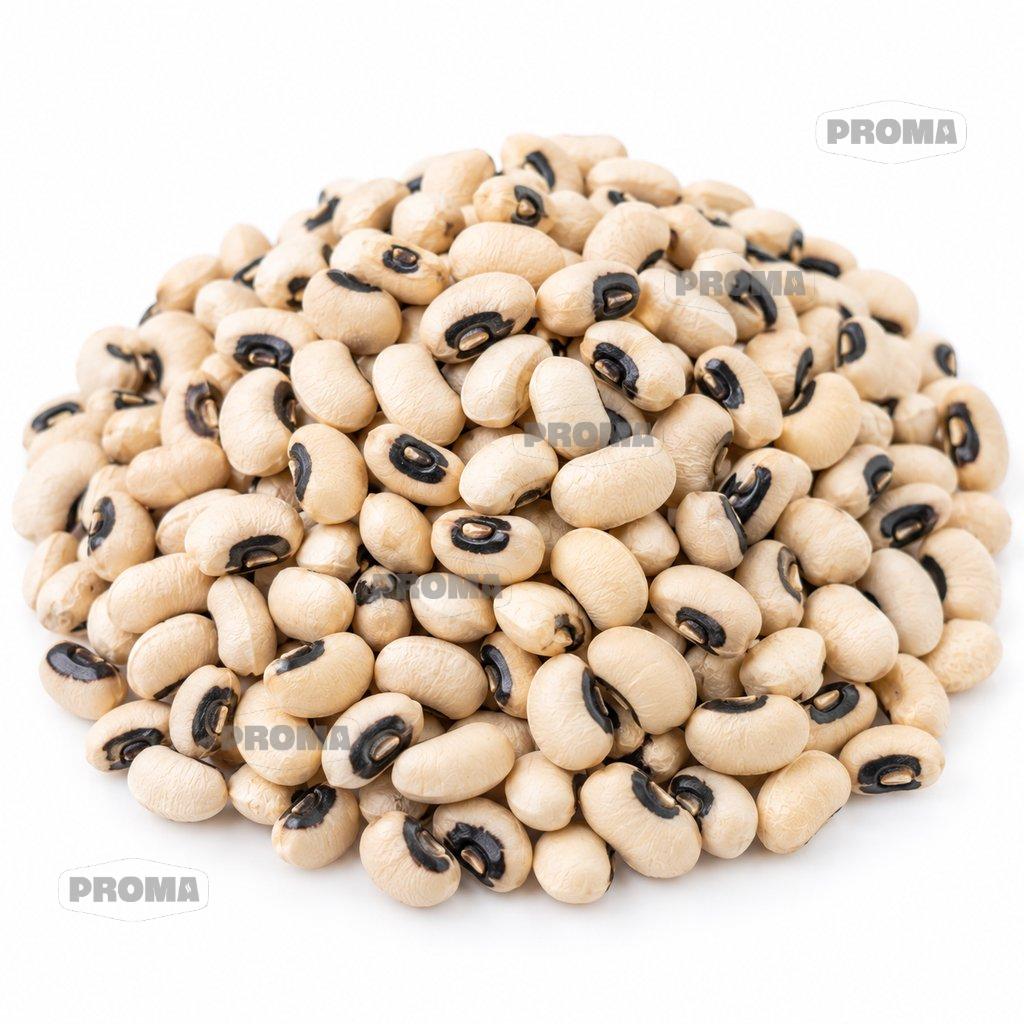 Dried black eyed beans supplied by PROMA Malaysia
