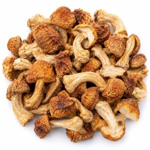 Dried Brazil mushroom Agaricus blazei Ji Song Rong, wholesale supplier Malaysia