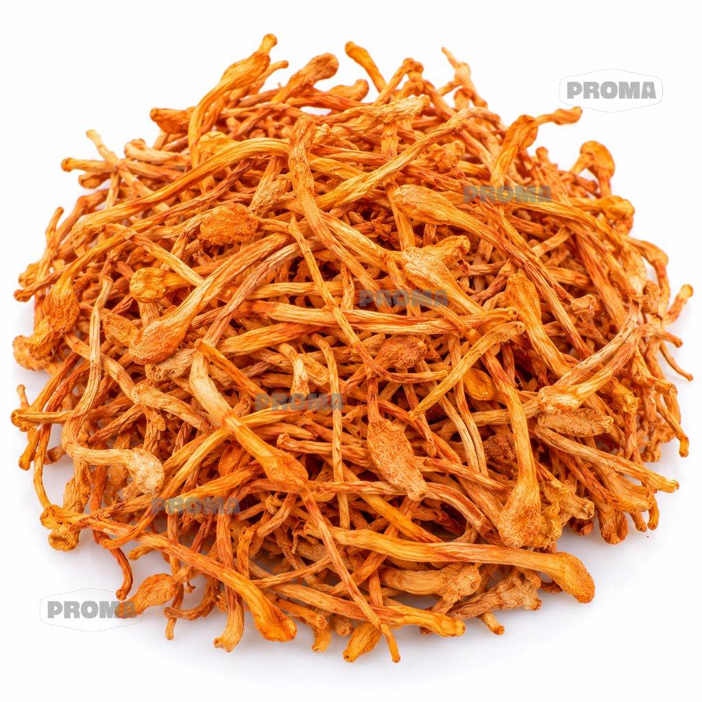 Dried cordyceps flower AA grade, wholesale supplier Malaysia