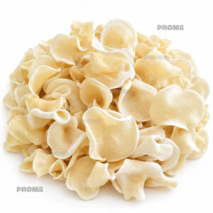Dried Fungus White Jade Er Wild