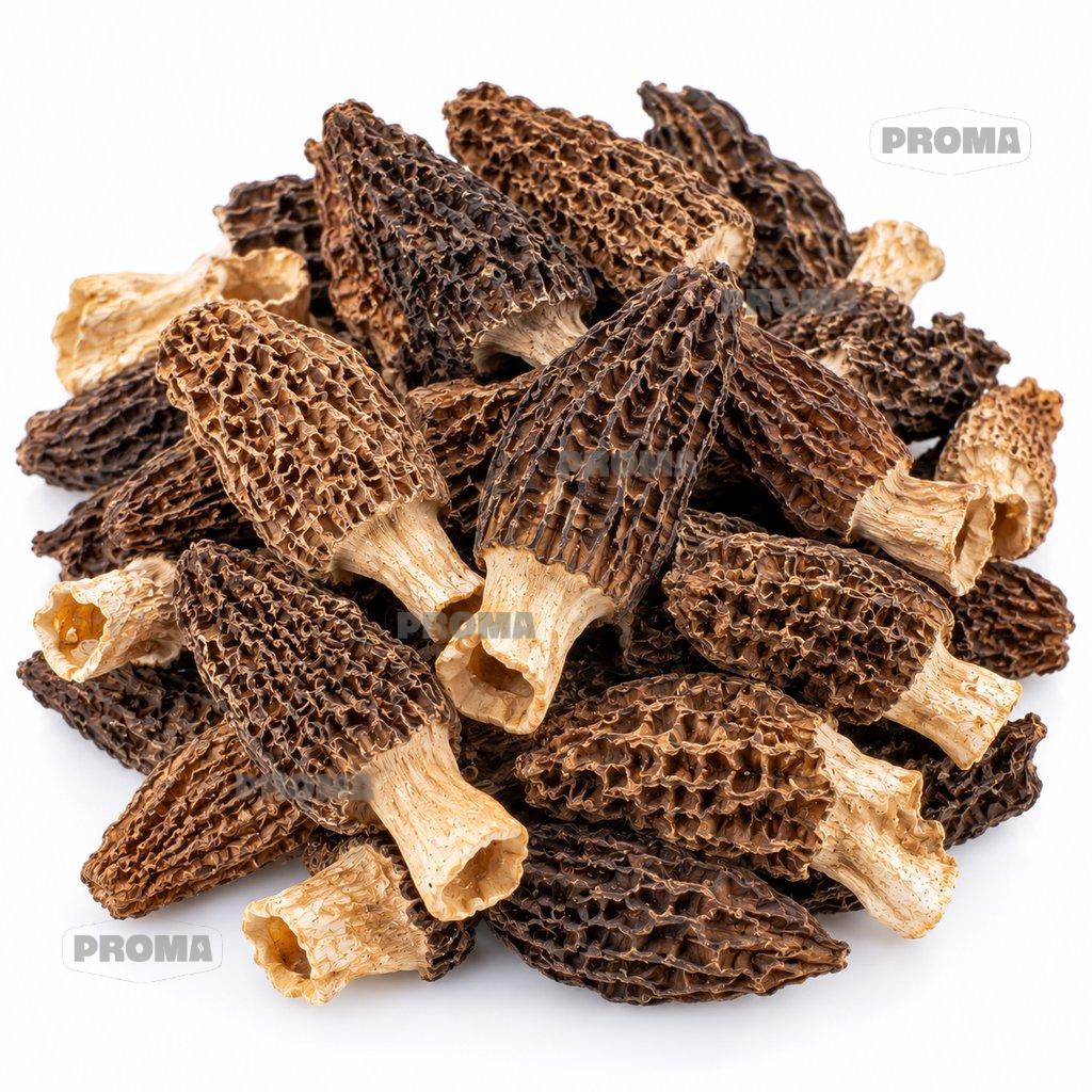 Dried morel mushrooms AA grade, wholesale supplier Malaysia