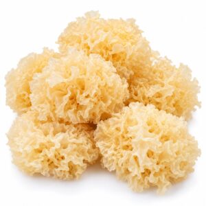 Dried snow fungus AA grade, wholesale supplier Malaysia