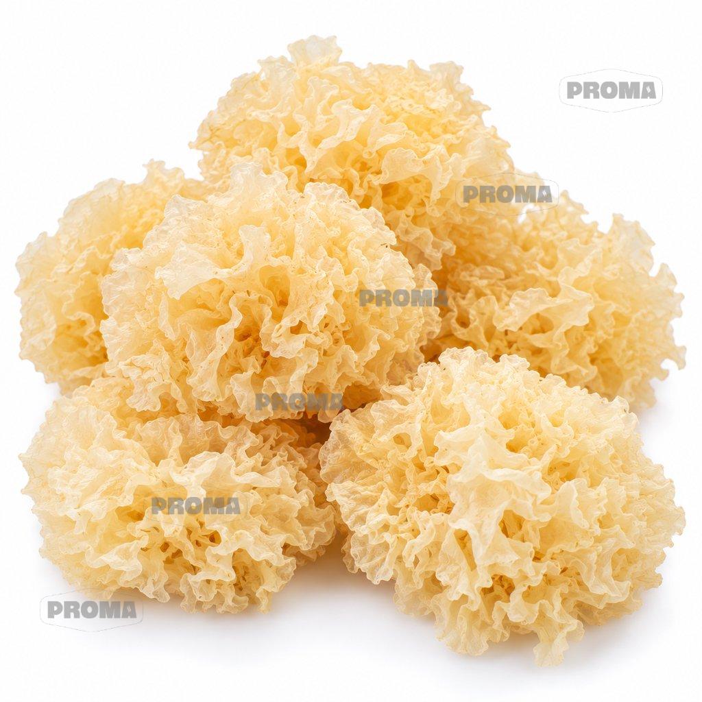 Dried snow fungus AA grade, wholesale supplier Malaysia