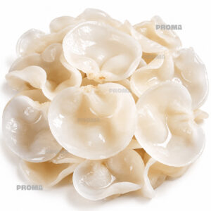 White jade er fungus cleaned AA supplier Malaysia