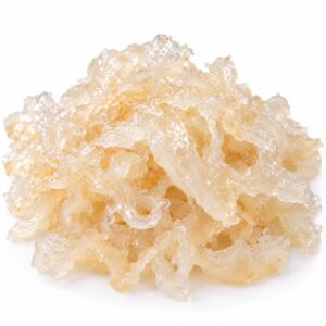 Soaked herb snow bird Xue Yan tragacanth gum, cleaned AA grade, wholesale supplier Malaysia
