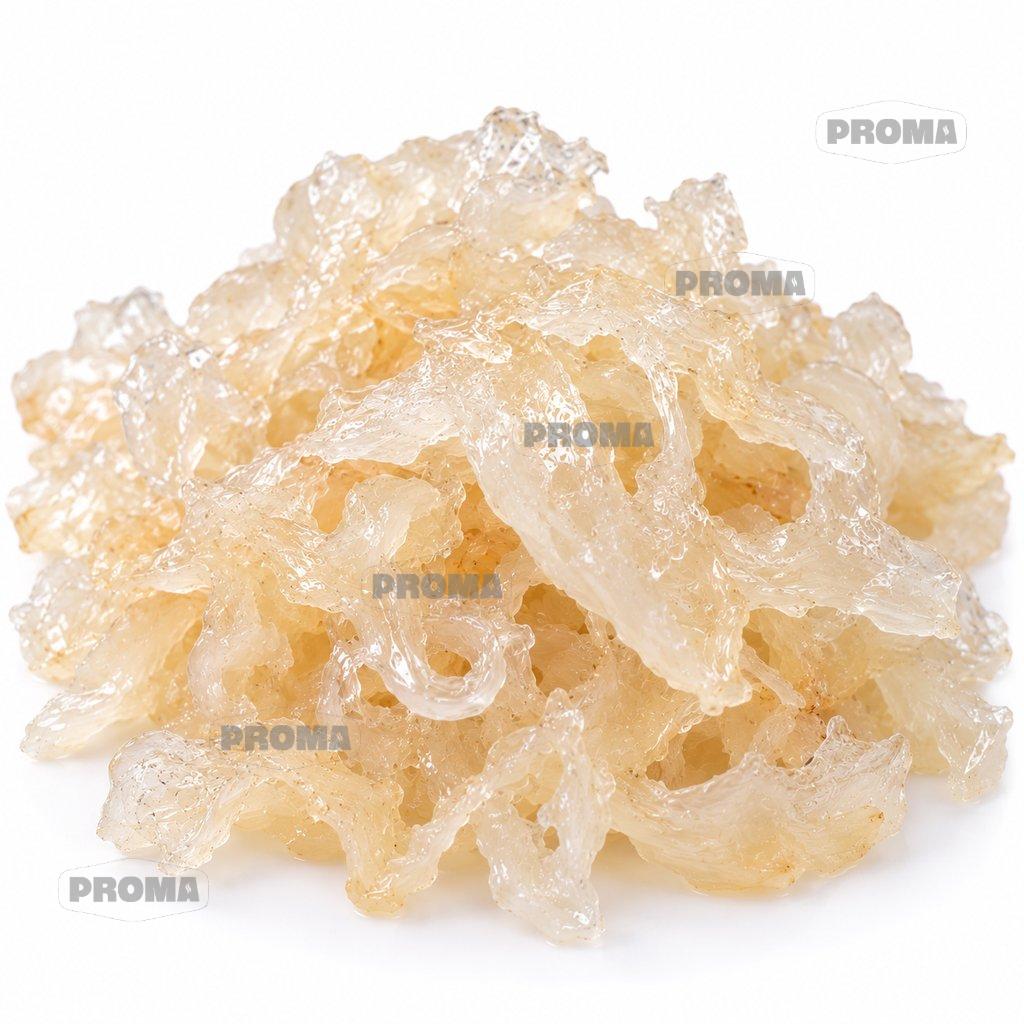 Soaked herb snow bird Xue Yan tragacanth gum, cleaned AA grade, wholesale supplier Malaysia
