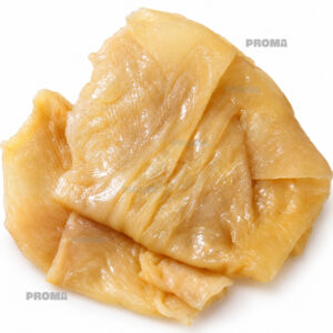 Jelly fish skin supplier Malaysia