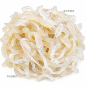Jelly fish sliced cleaned AA supplier Malaysia