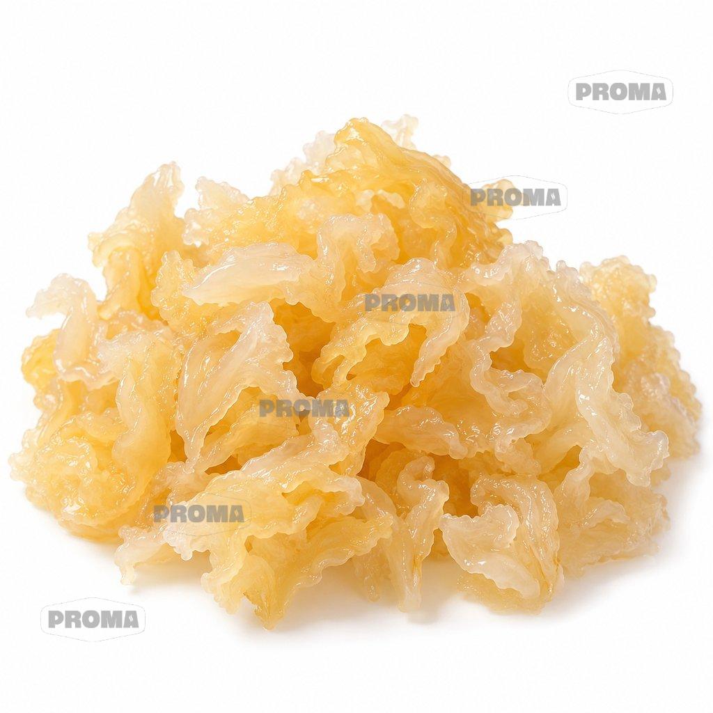 Cleaned jellyfish flower AA grade, wholesale supplier Malaysia
