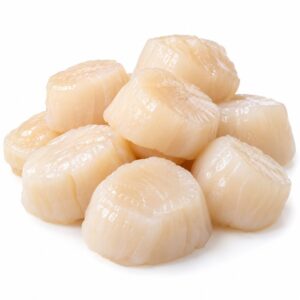 Scallop Meat 10/20 Canada wholesale supplier Malaysia