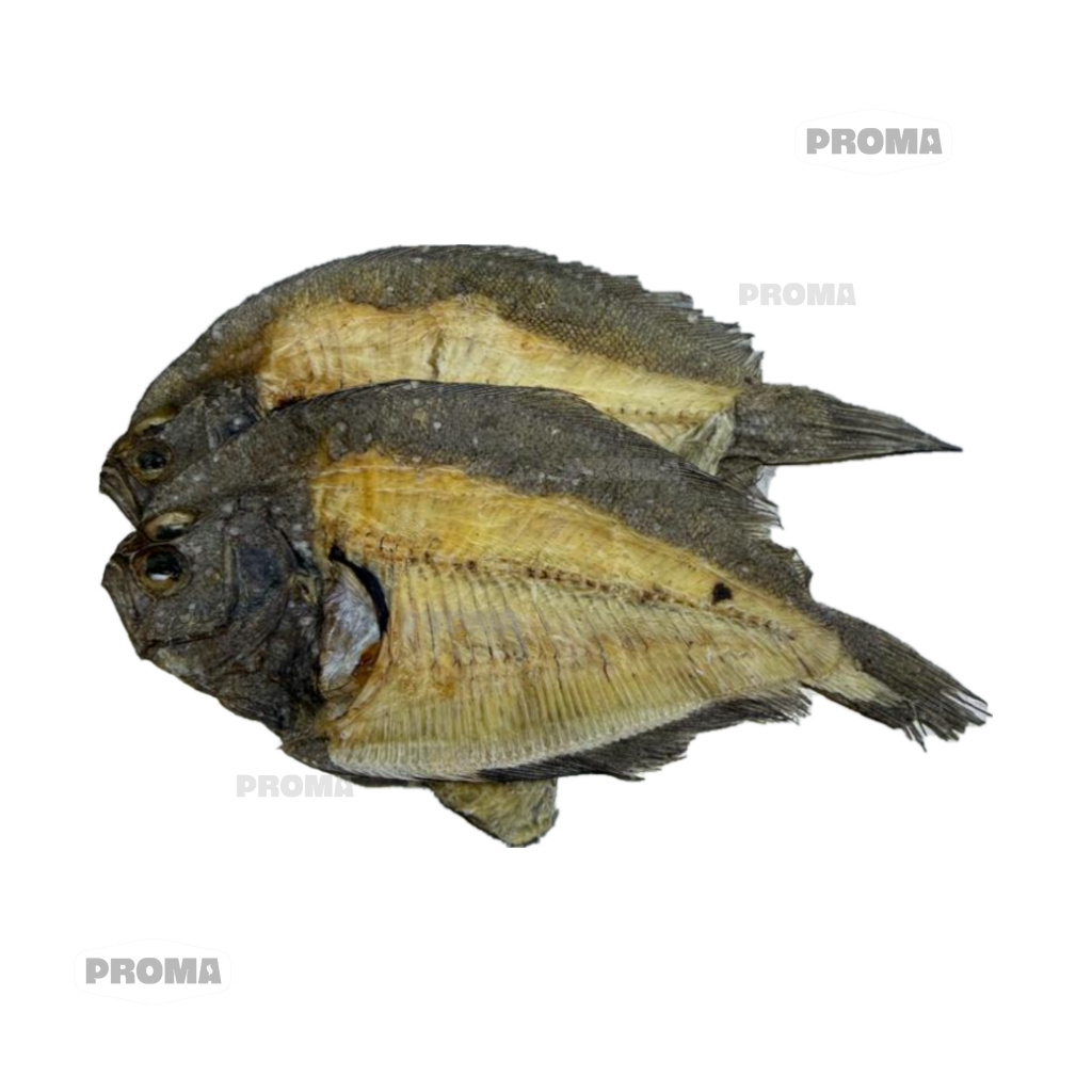 Sole Fish Bone Dry