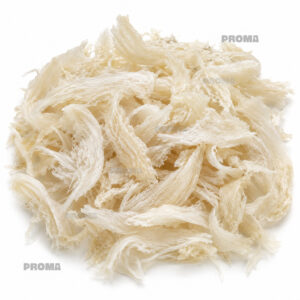 White bird nest loose supplier Malaysia