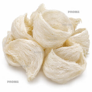 White bird nest whole supplier Malaysia