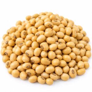 Dried yellow soya beans supplied by PROMA Malaysia