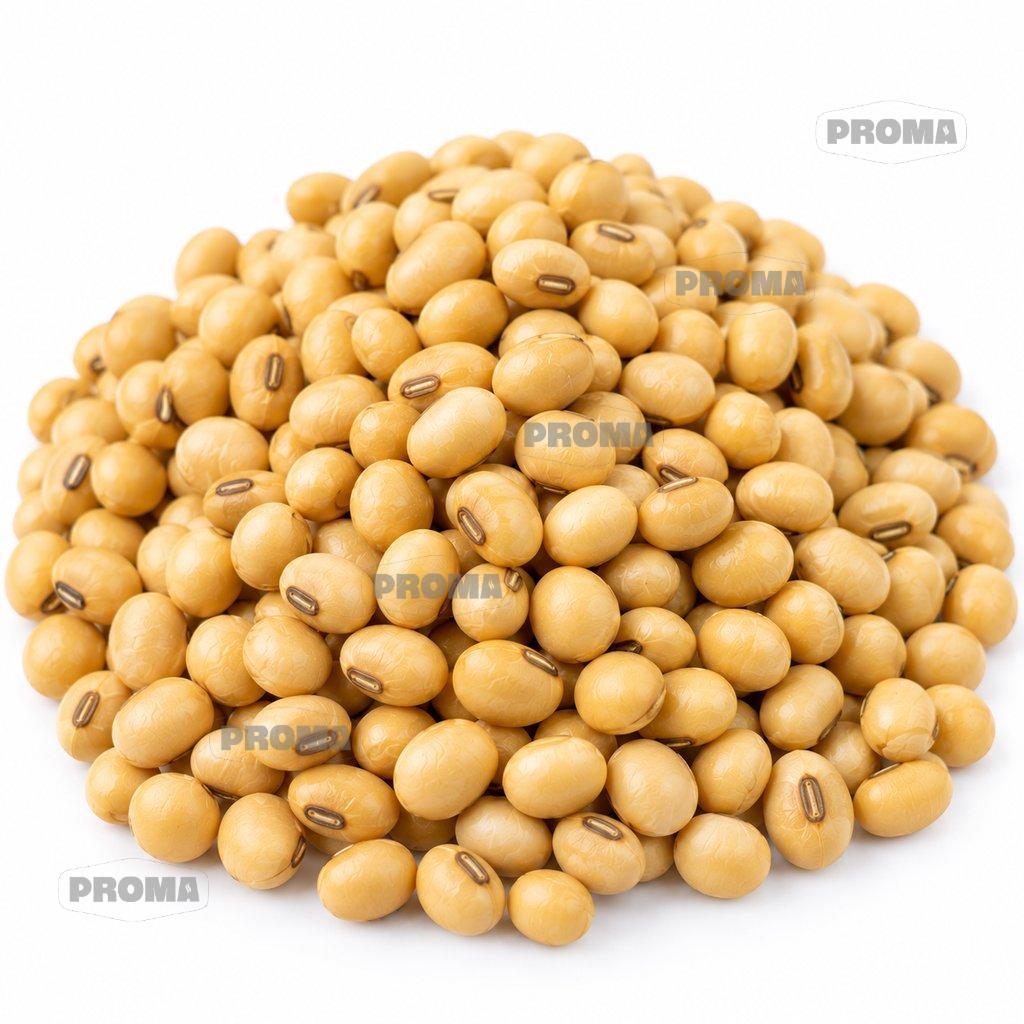 Dried yellow soya beans supplied by PROMA Malaysia